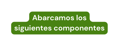 Abarcamos los siguientes componentes