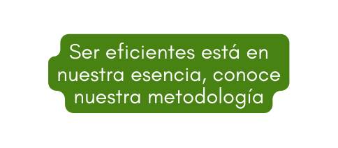 Ser eficientes está en nuestra esencia conoce nuestra metodología